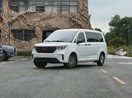 Wuling Zhengcheng 2021