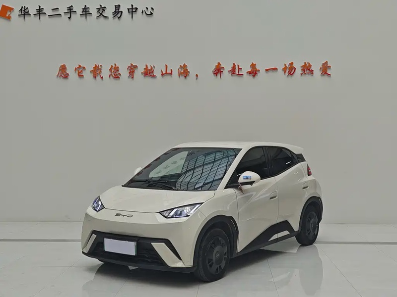 BYD Seagull
