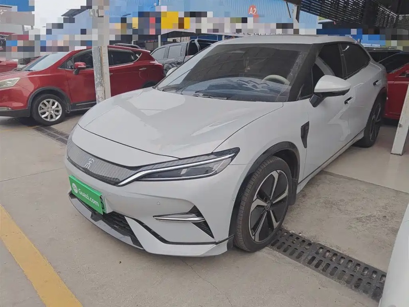 BYD L