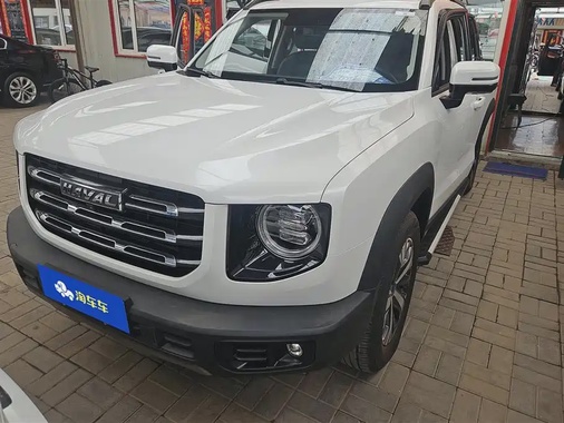 Haval Big Dog 2020