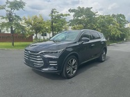 BYD Surui 2020