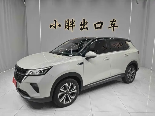 Wuling Xingchen 2022