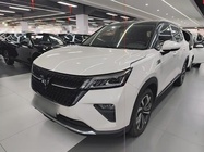 Wuling Xingchen 2021