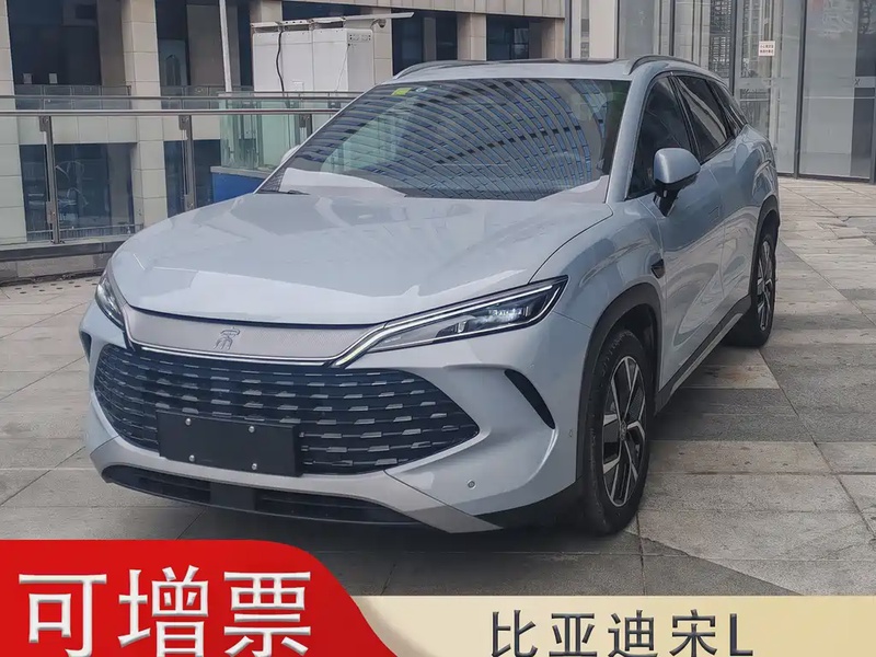 BYD L