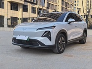 Wuling Xingguang 2024