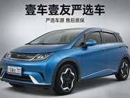 BYD Dolphin 2022