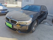 BMW 5 Series 2019