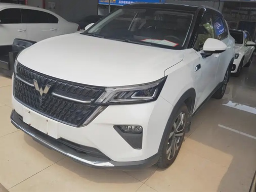 Wuling Xingchen 2021