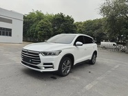 BYD Pro 2020