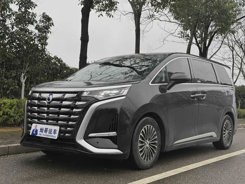Denza D9