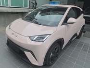 BYD Seagull 2024