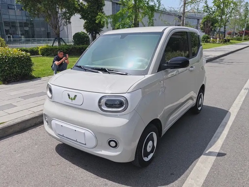 Wuling Mini 2024