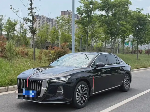 Hongqi H5 2024