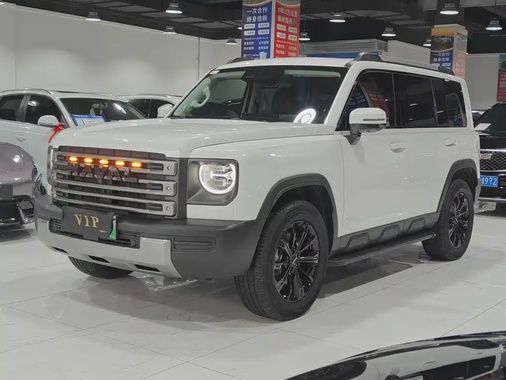 Haval Menglong 2025