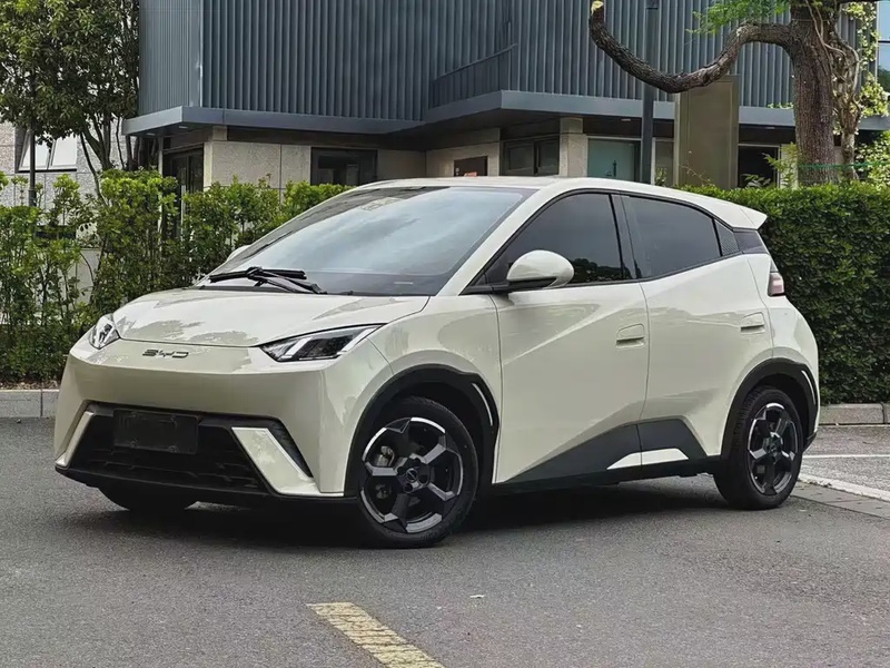 BYD Seagull