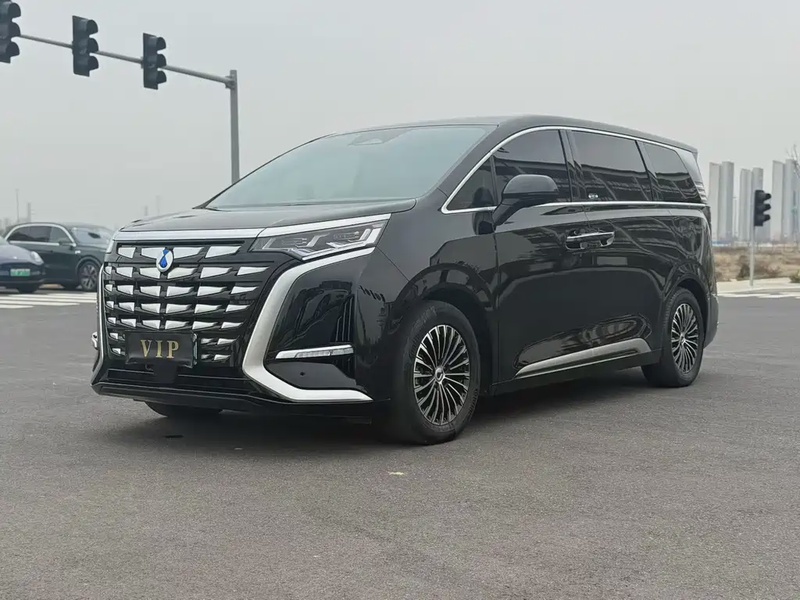 Denza D9