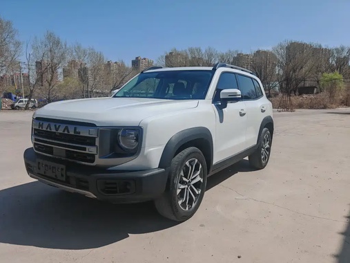 Haval Big Dog 2024