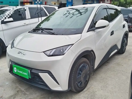 BYD Seagull 2024