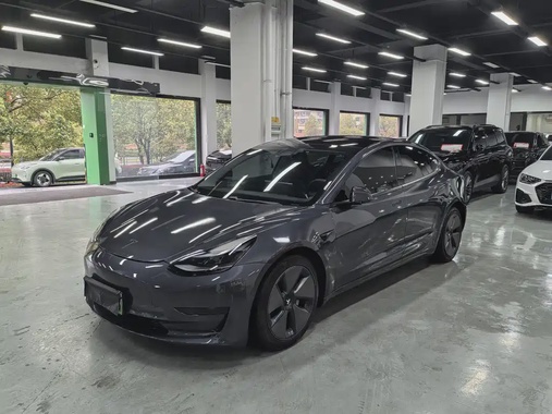 Tesla Model 3 2021