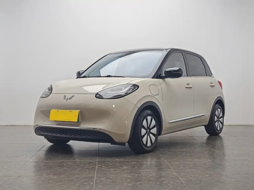 Wuling Bingo 2024