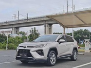 Toyota Wildlander 2020