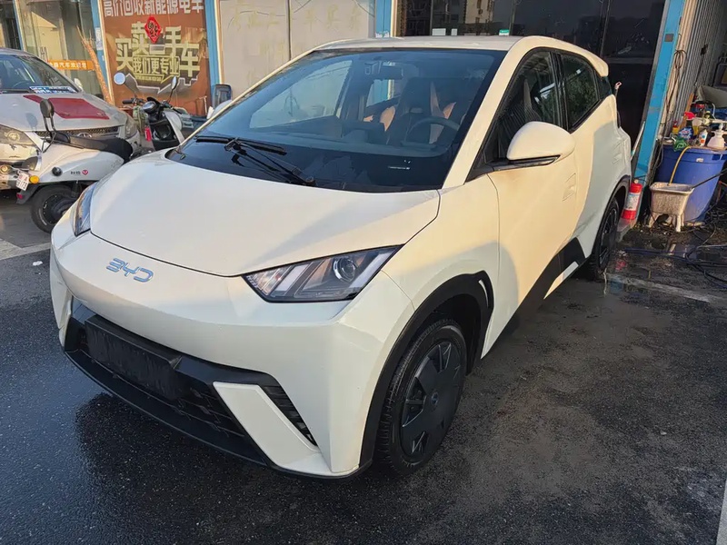 BYD Seagull