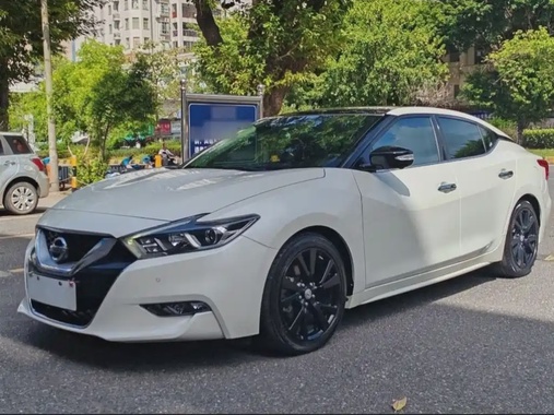 Nissan Cima 2019
