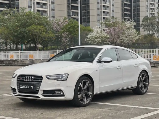 Audi S5 2013