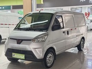 Wuling EV50 2020