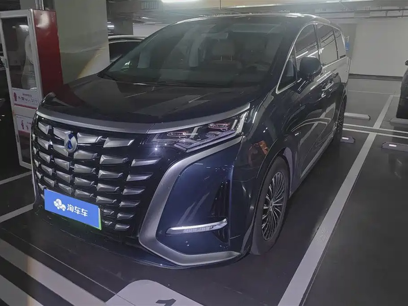 Denza D9
