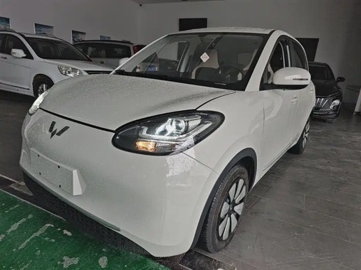 Wuling Bingo 2024