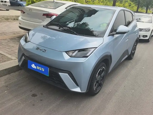 BYD Seagull 2024