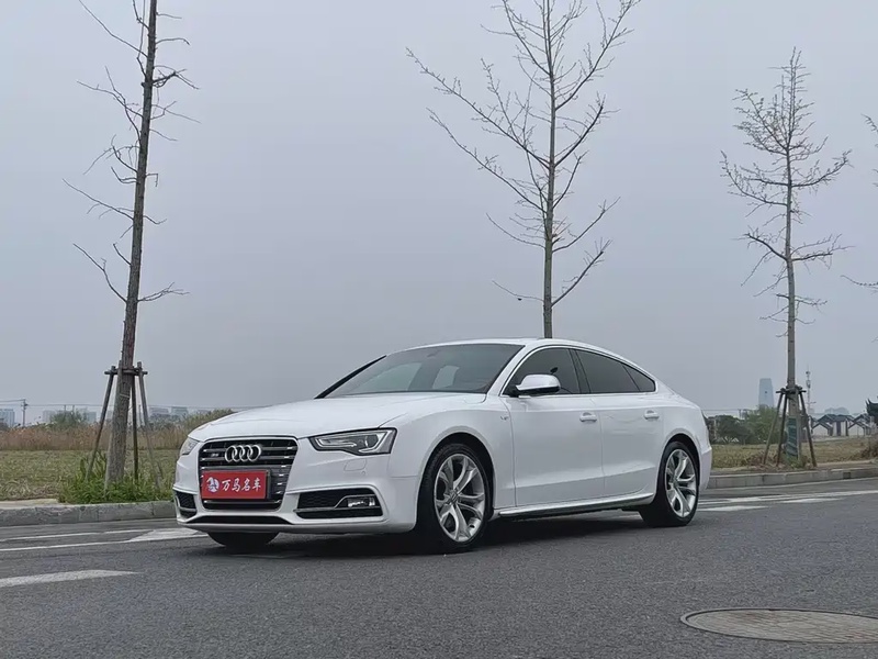 Audi S5
