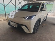 BYD Seagull 2024