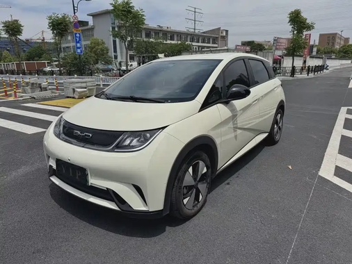 BYD Dolphin 2024