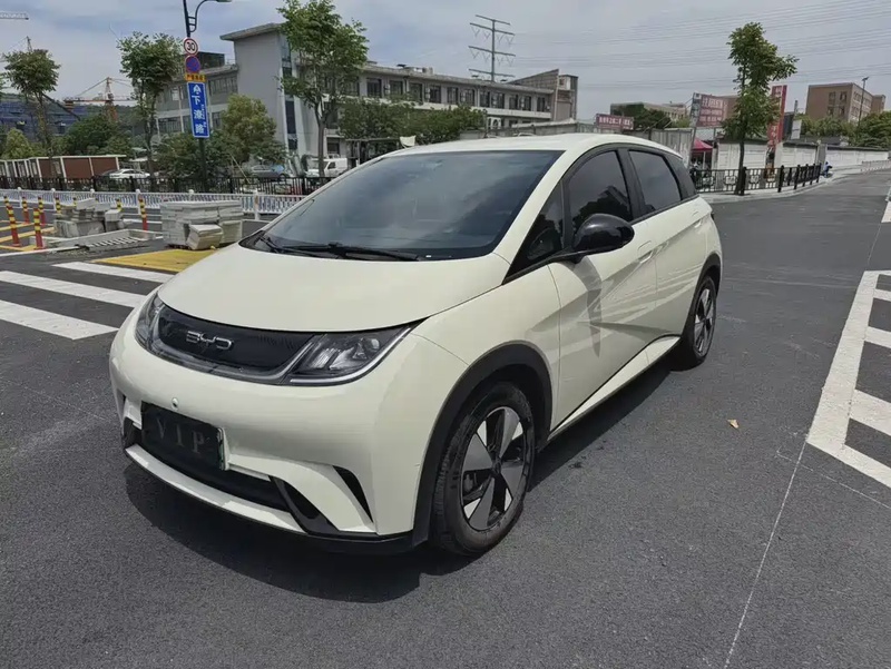 BYD Dolphin