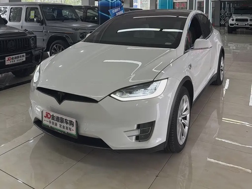 Tesla Model X 2019