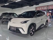 BYD Seagull 2024