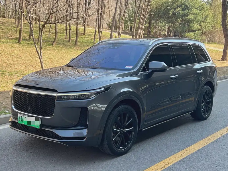 Li Auto ONE
