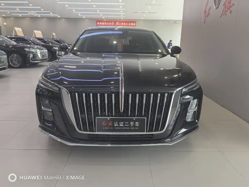 Hongqi H5 2024