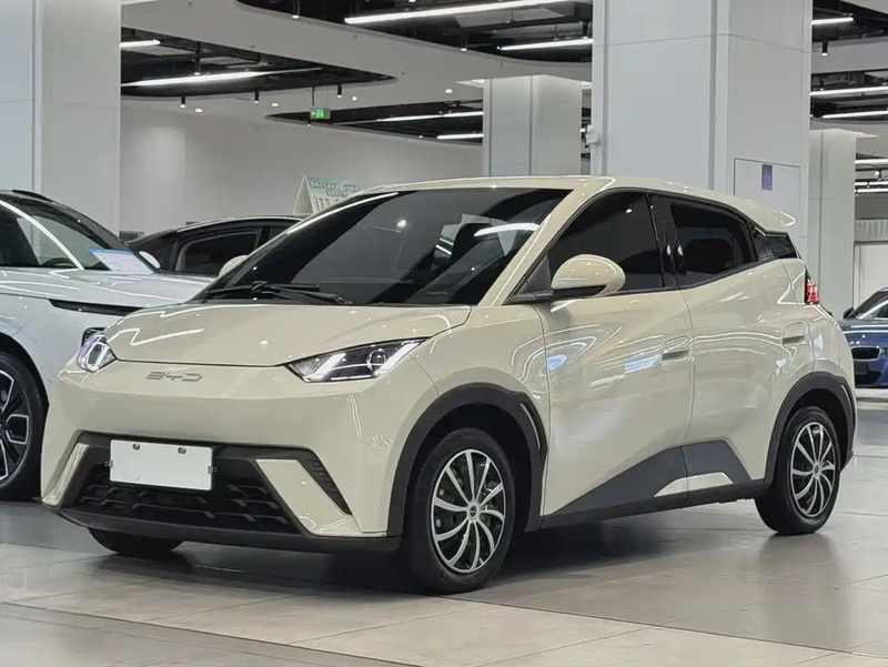 BYD Seagull