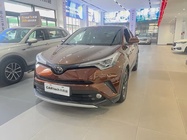 Toyota IZOA 2019