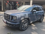 Haval Big Dog 2023