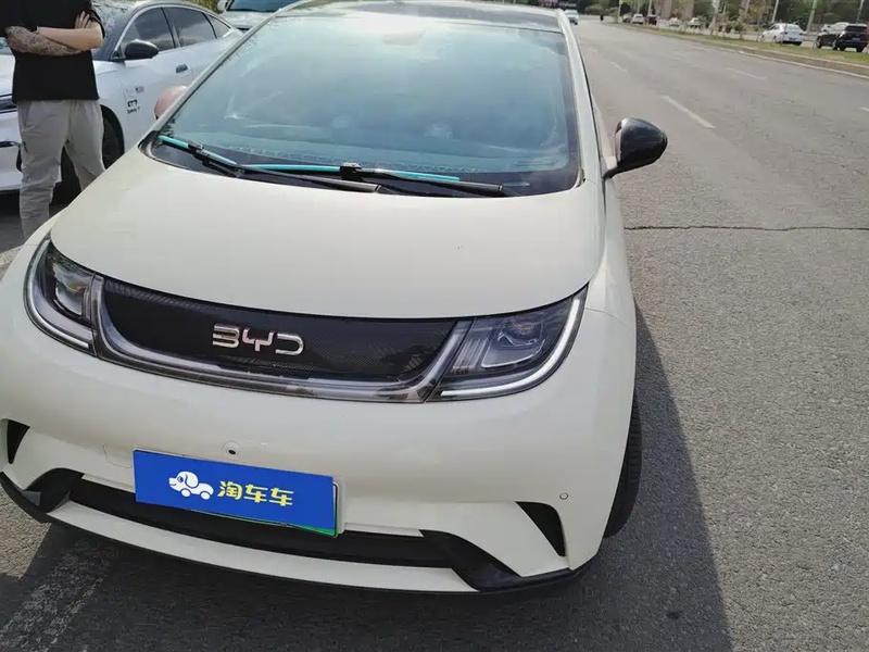 BYD Dolphin