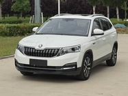 Skoda Kamiq 2021