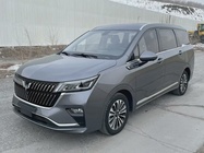 Wuling Jiachen 2022