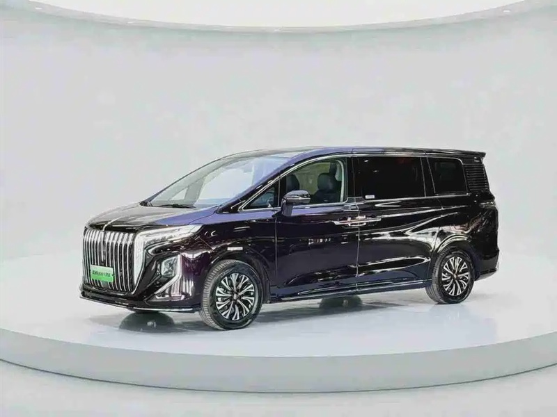 Hongqi HQ9