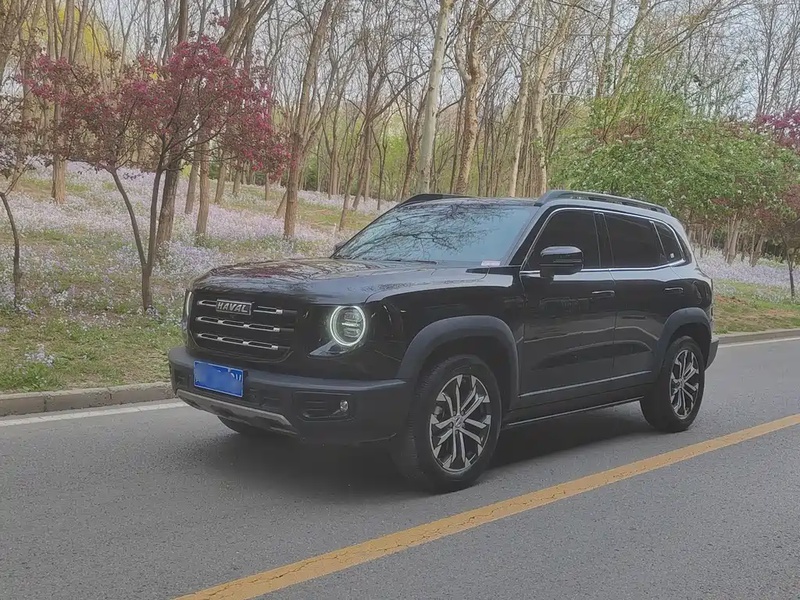 Haval Big Dog