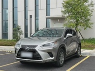 Lexus NX 2020