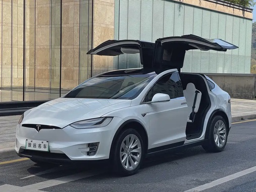 Tesla Model X 2020